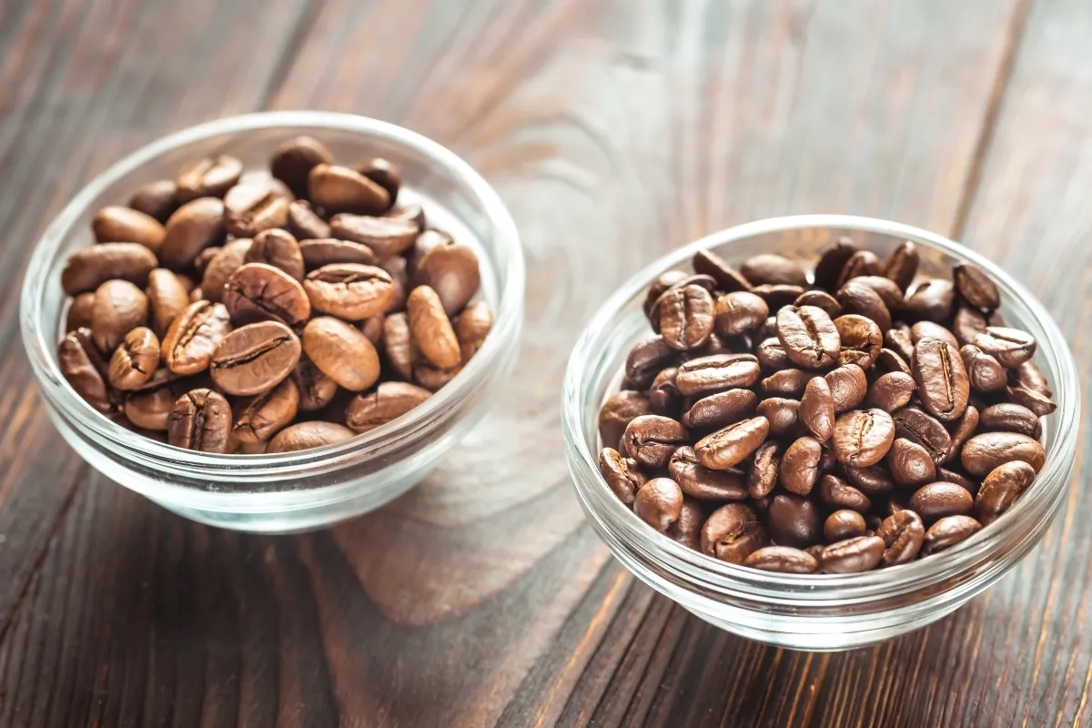 Grains de café Arabica et Robusta comparés